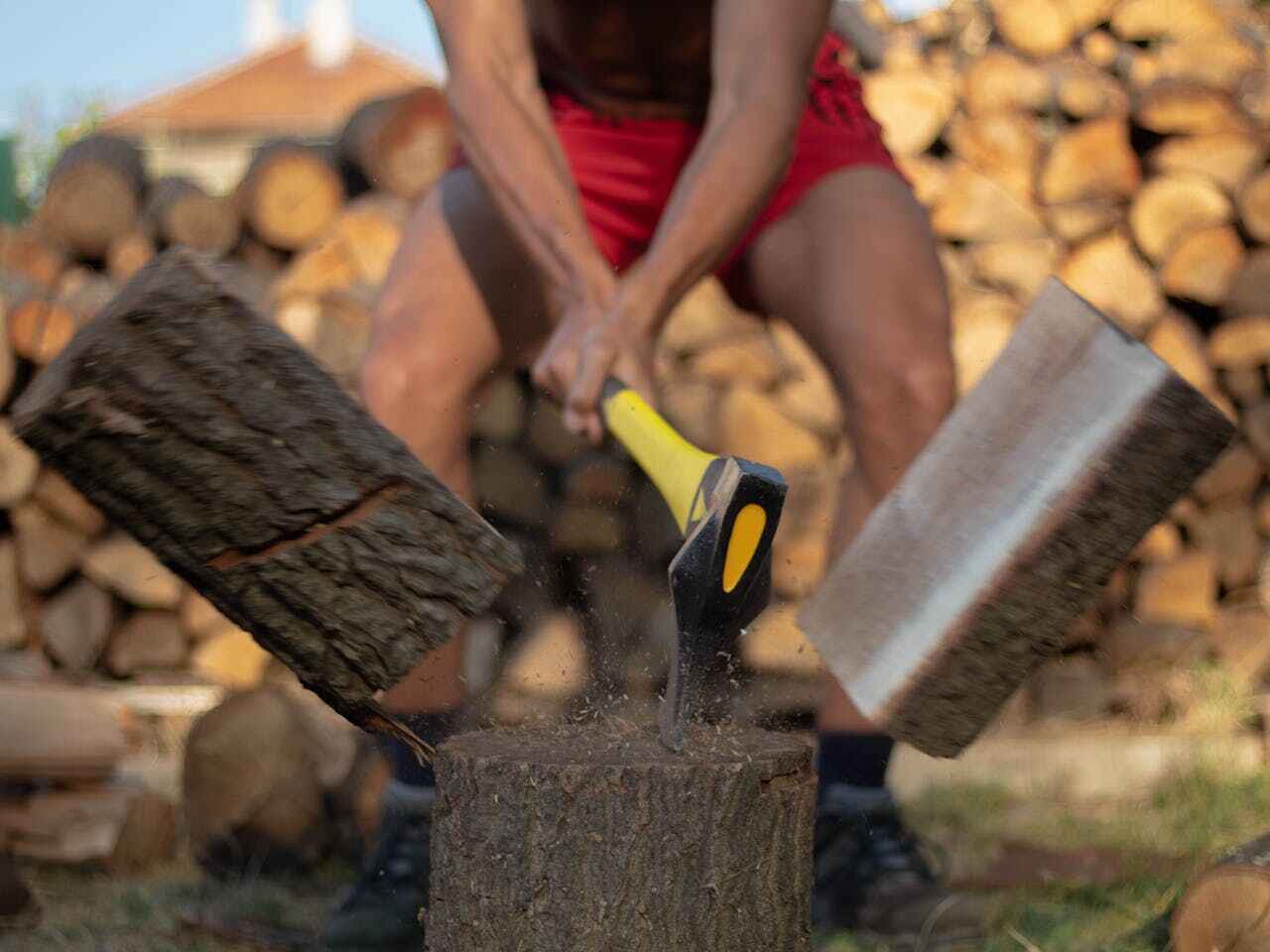 Best Tree Trimming Near Me  in Kincheloe, MI